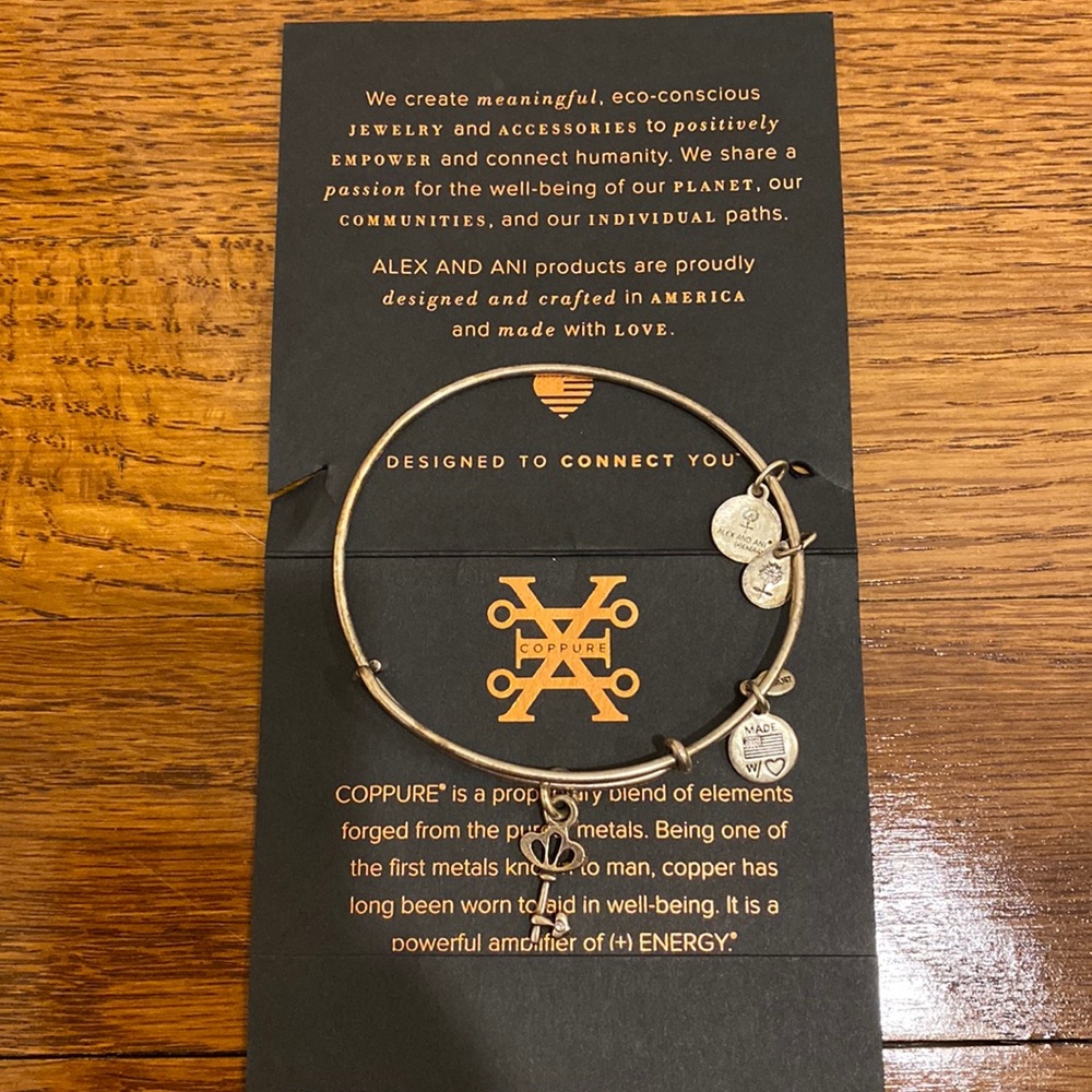 Alex and Ani silver key bracelet